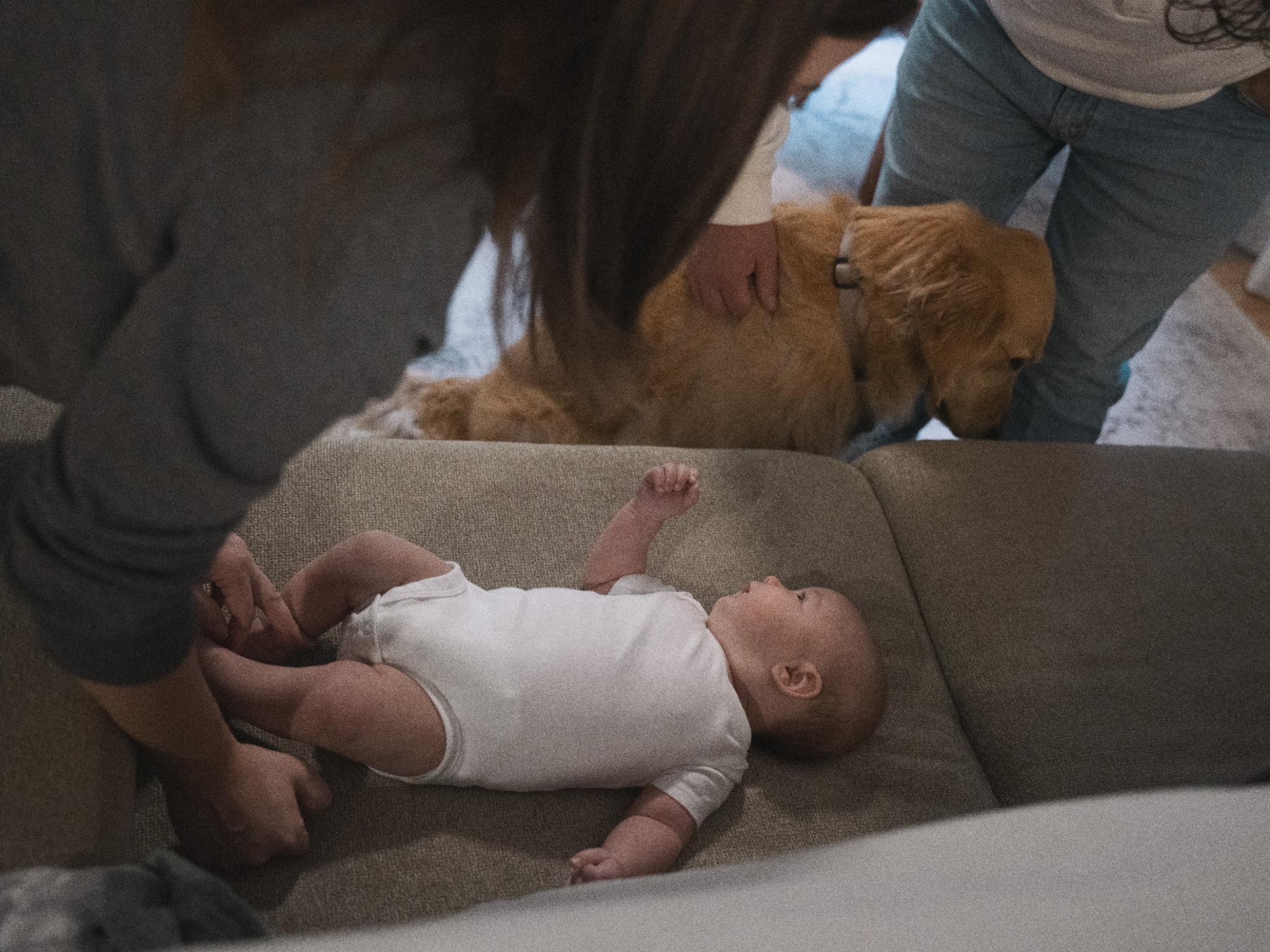 A baby lying on a sofa as parents tend to them